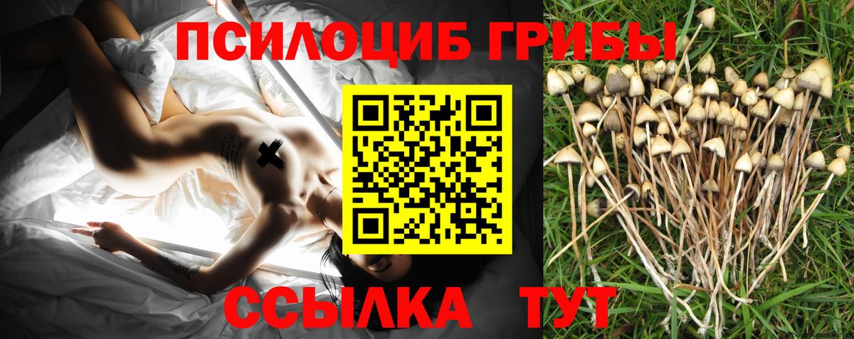 закладки  Псилоцибиновые грибы мицелий  Пугачёв  Вход с VPN  Галлюциногенные грибы мухоморы 